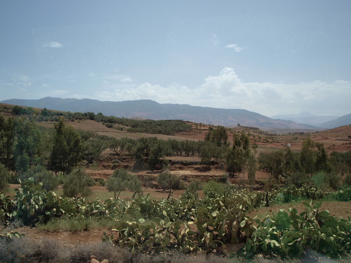 countryside