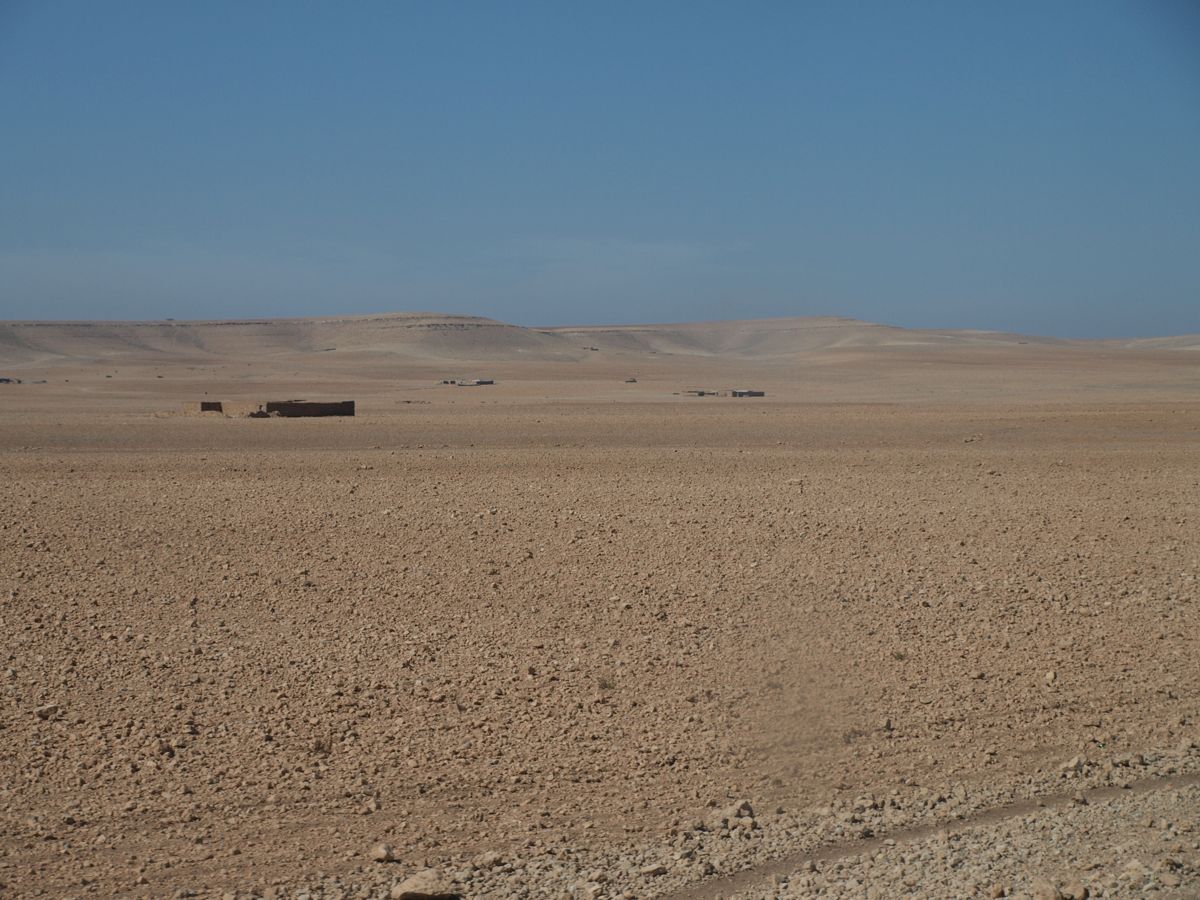 desert landscape