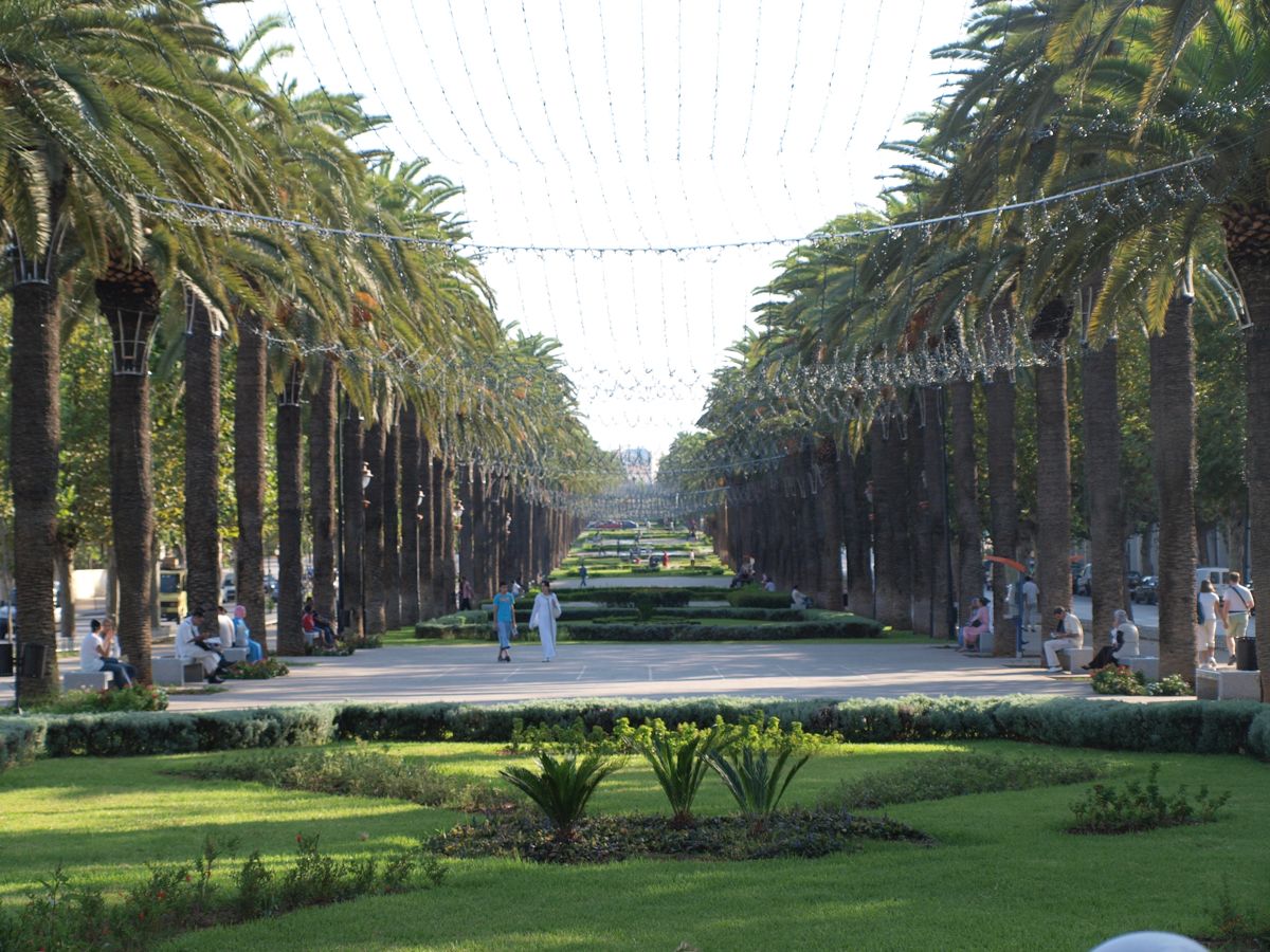 park or garden