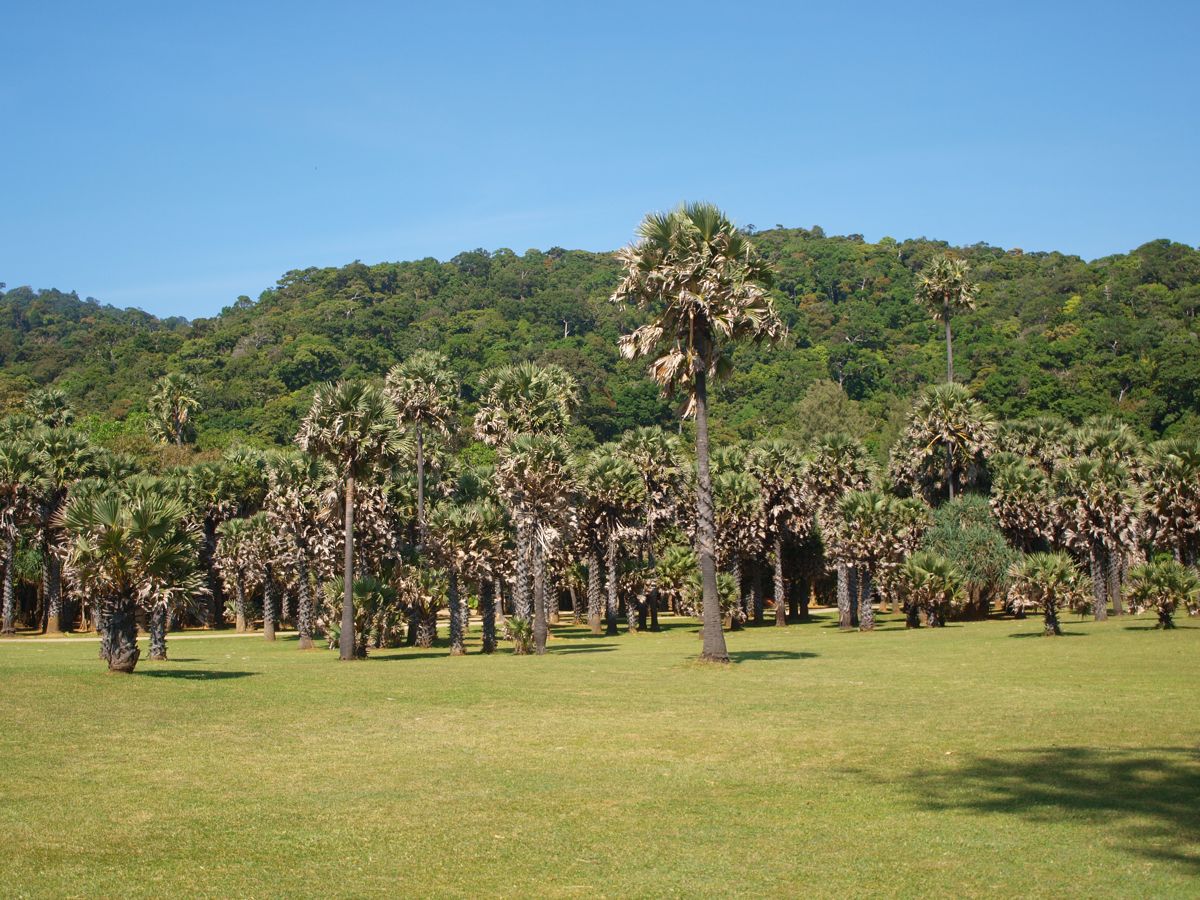 park or garden