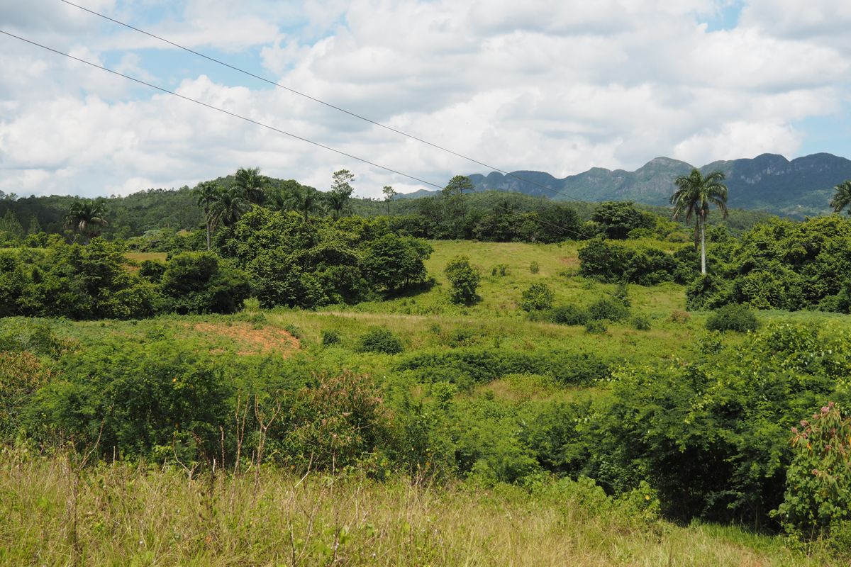 countryside