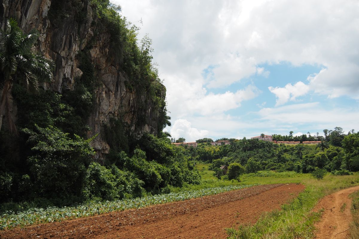 countryside