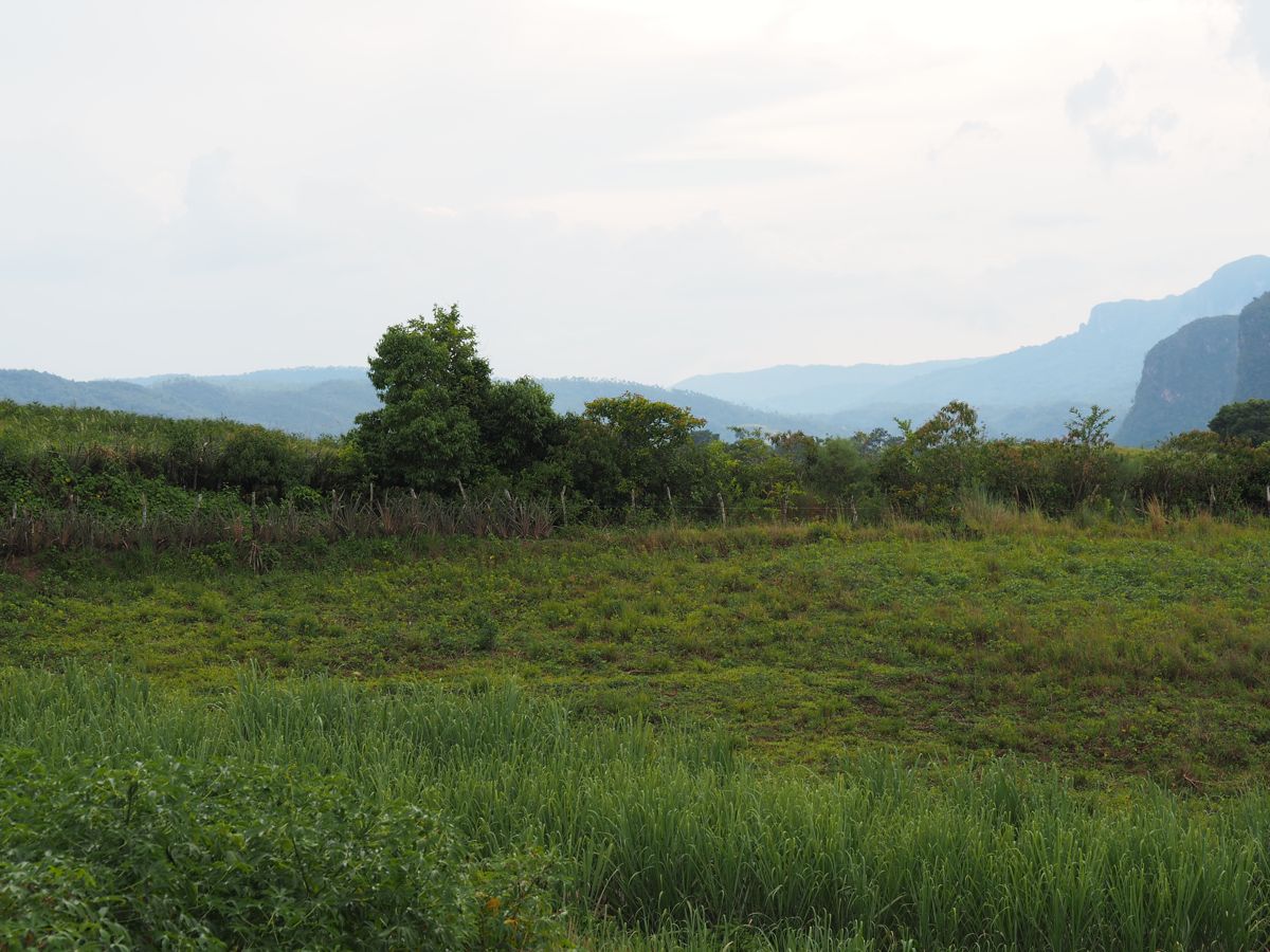 countryside