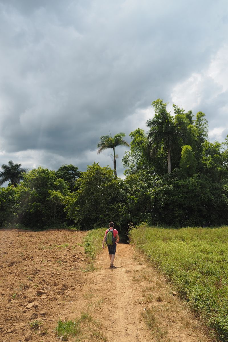 countryside