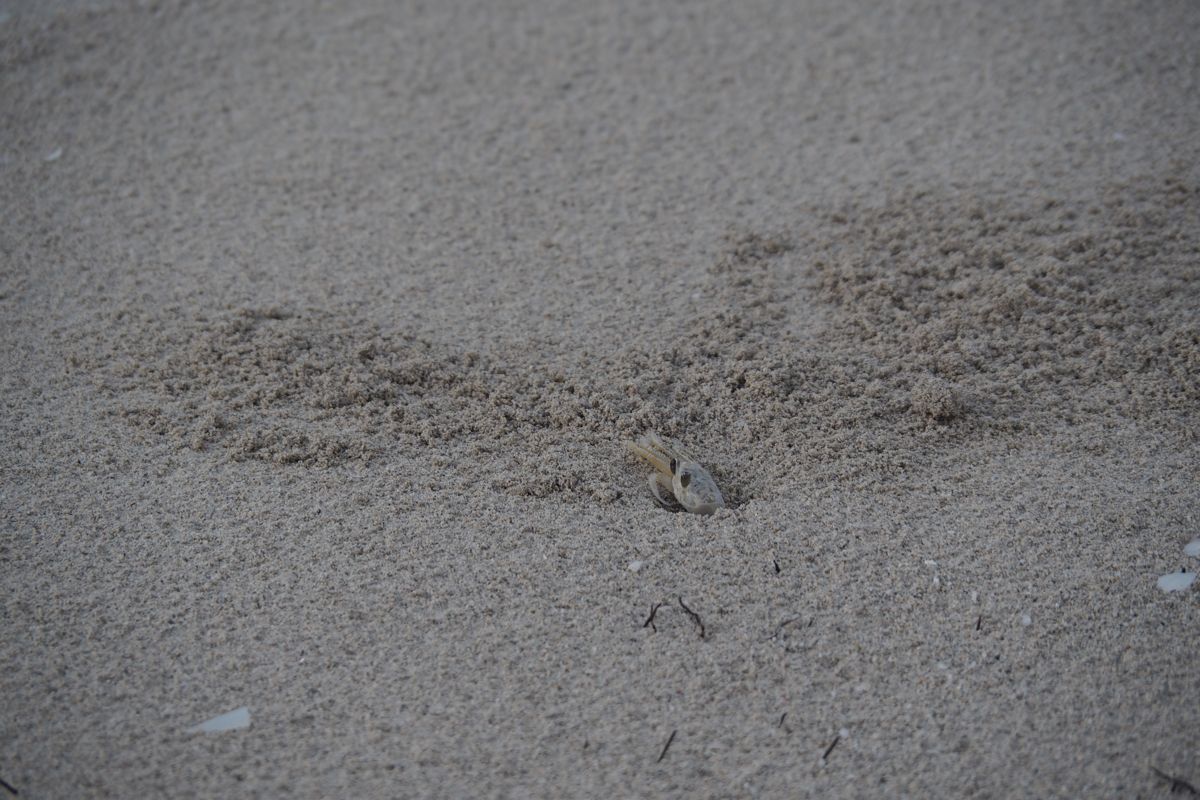 beach