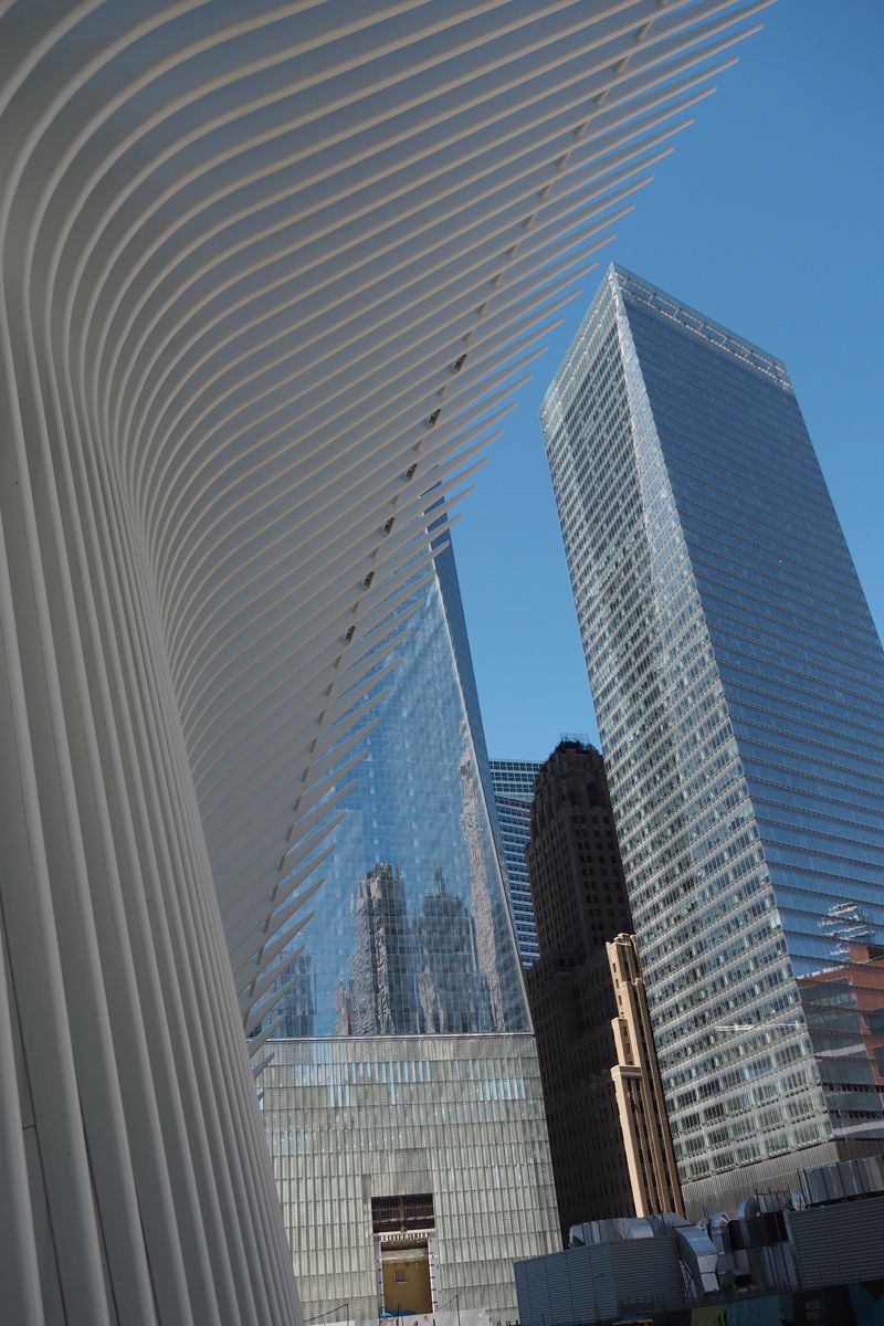 skyline