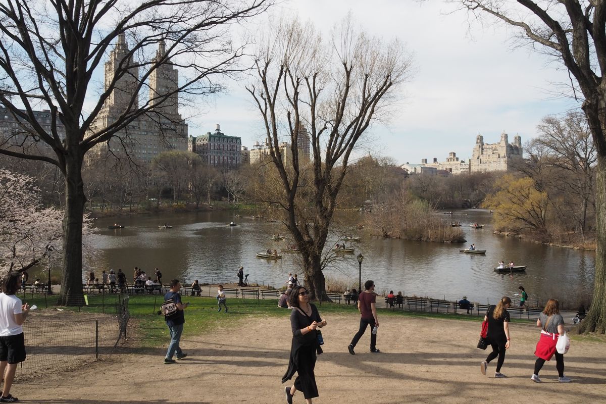 park or garden