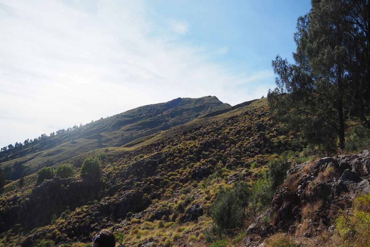 desert landscape