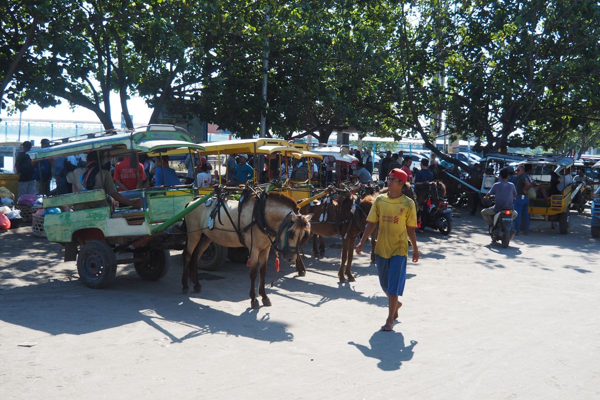 busy market