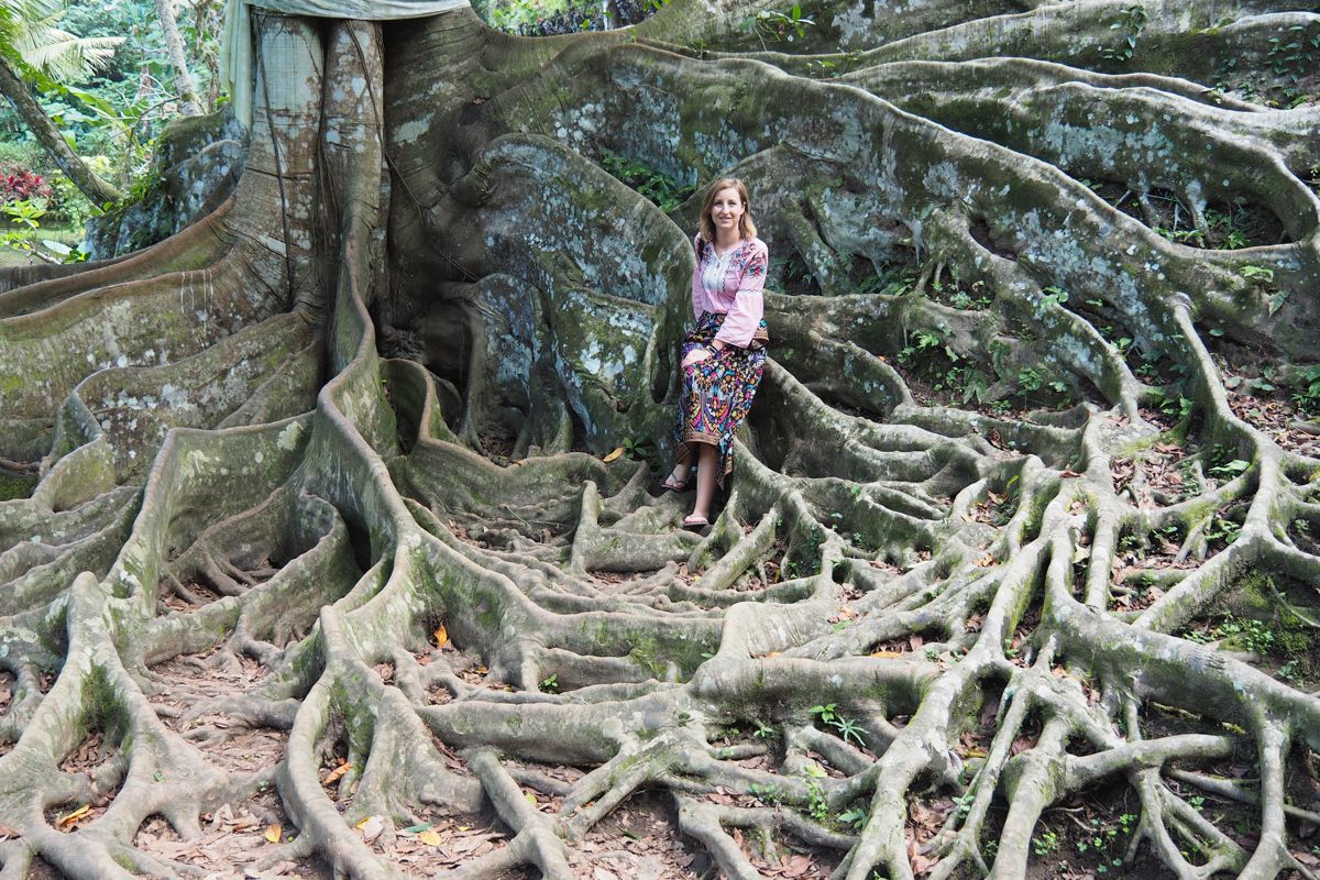 forest