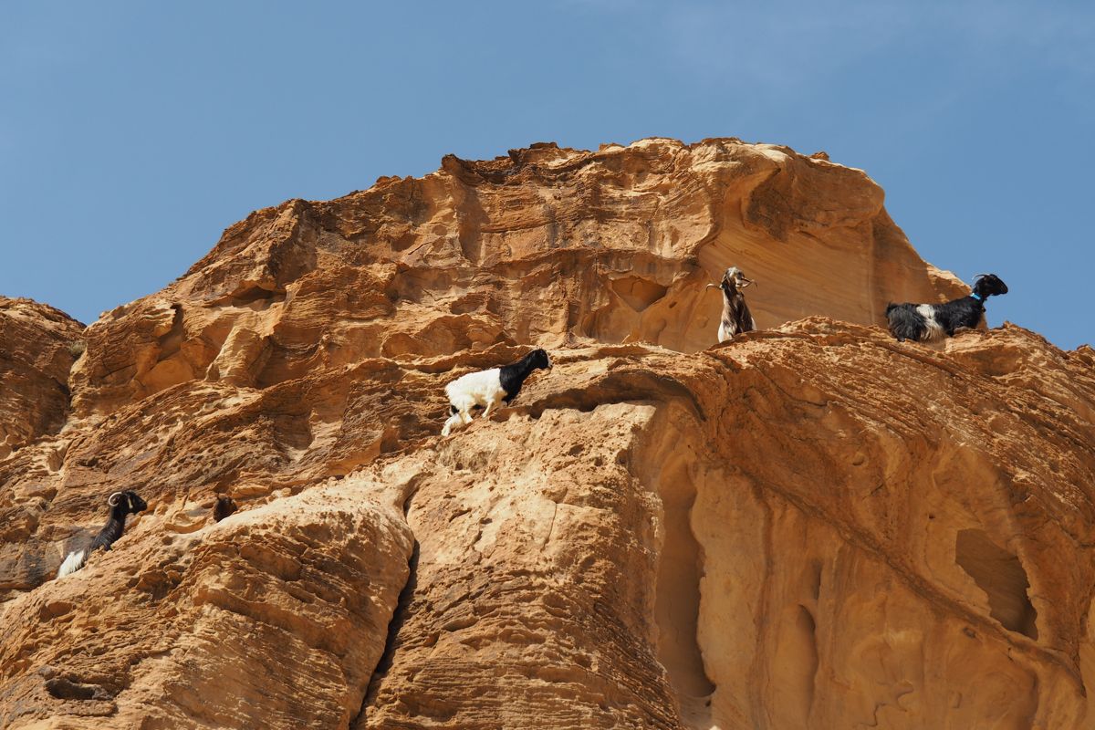 desert landscape