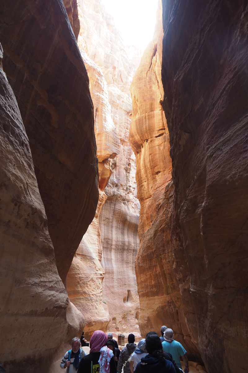 desert landscape