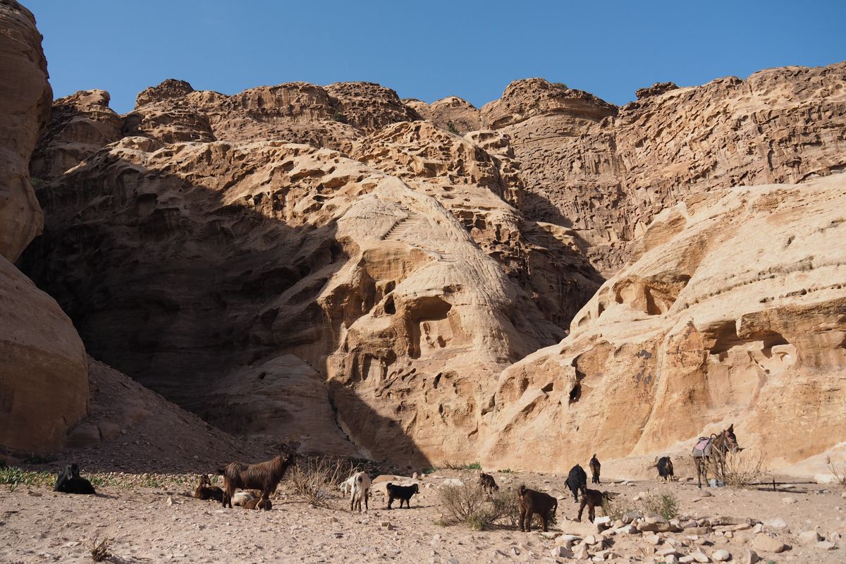 desert landscape