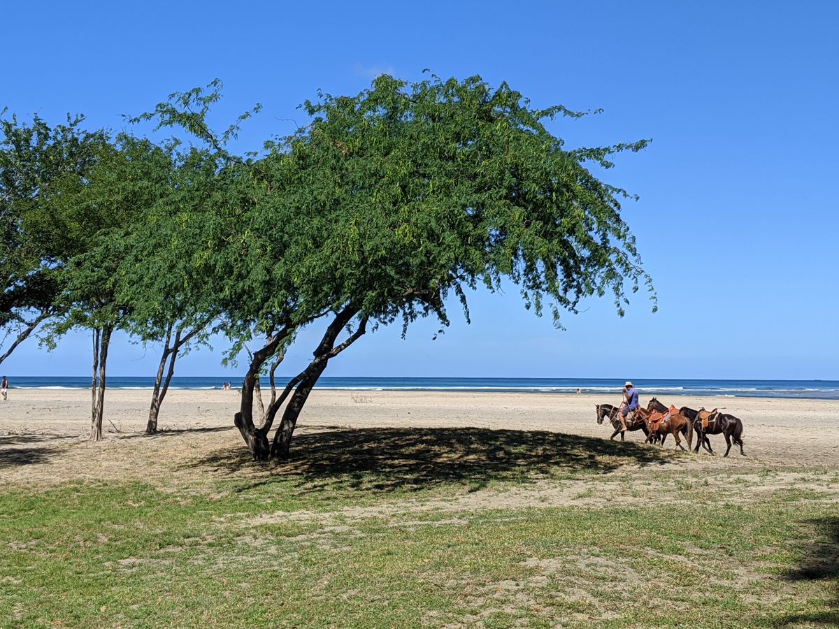 beach