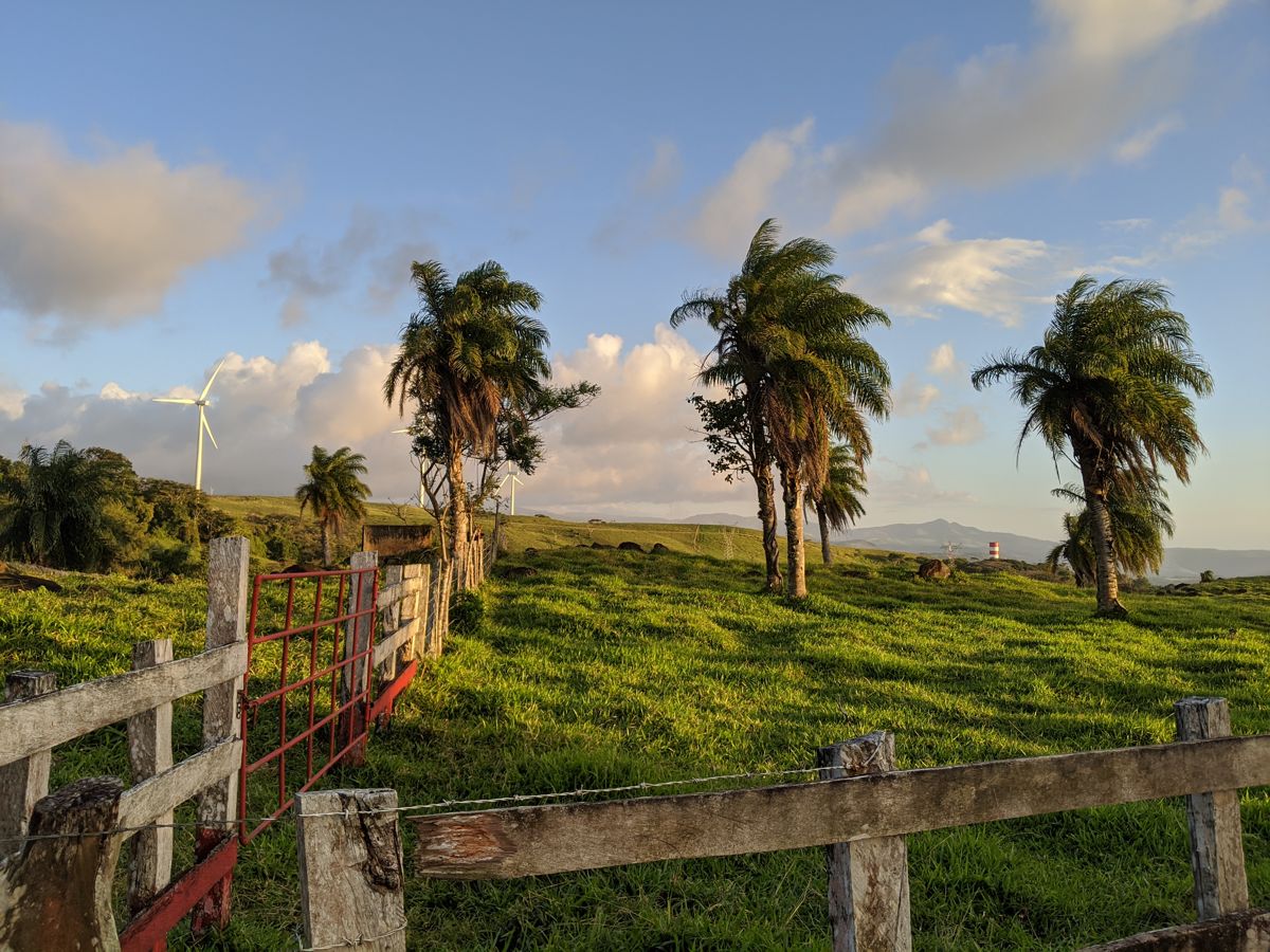 countryside