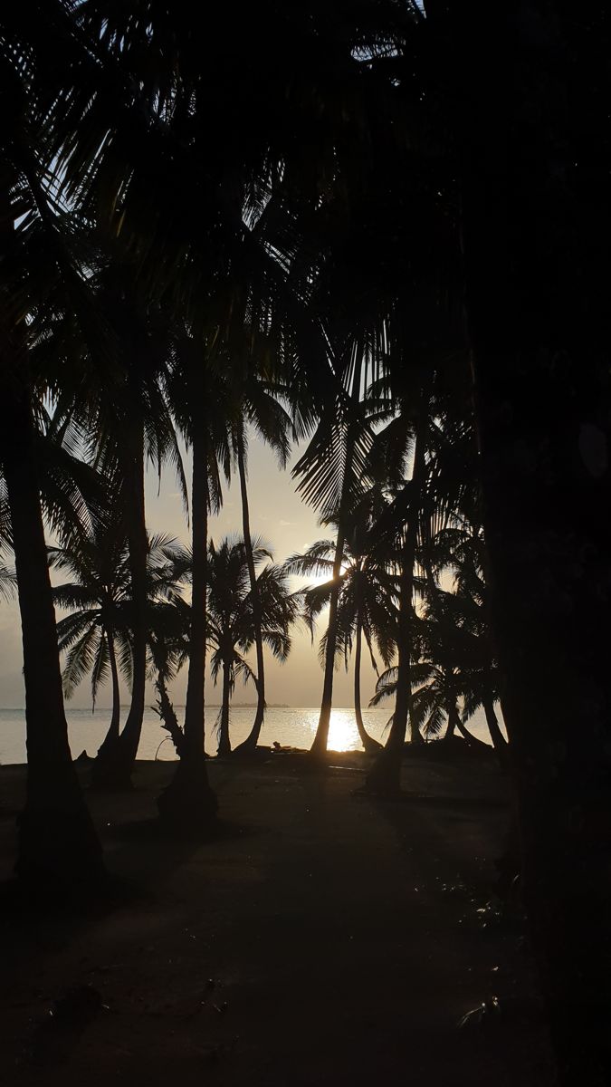 sunset or sunrise