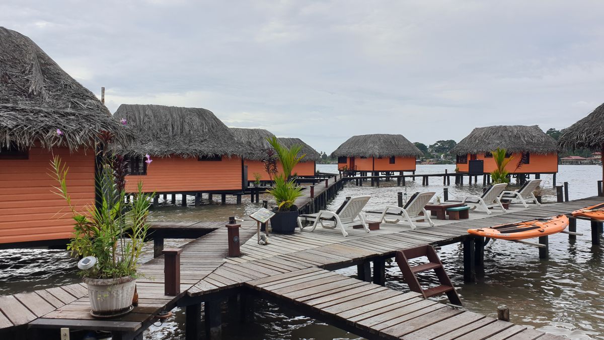 restaurant or cafe