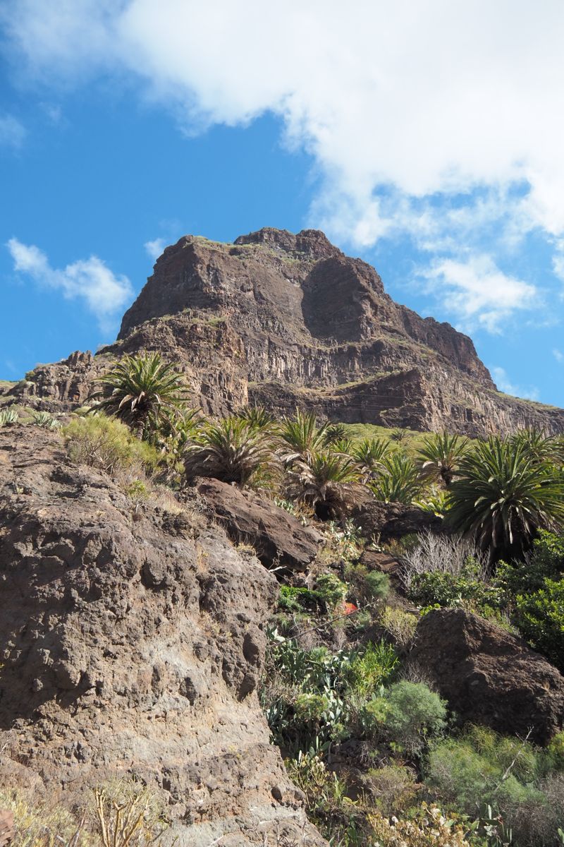 desert landscape