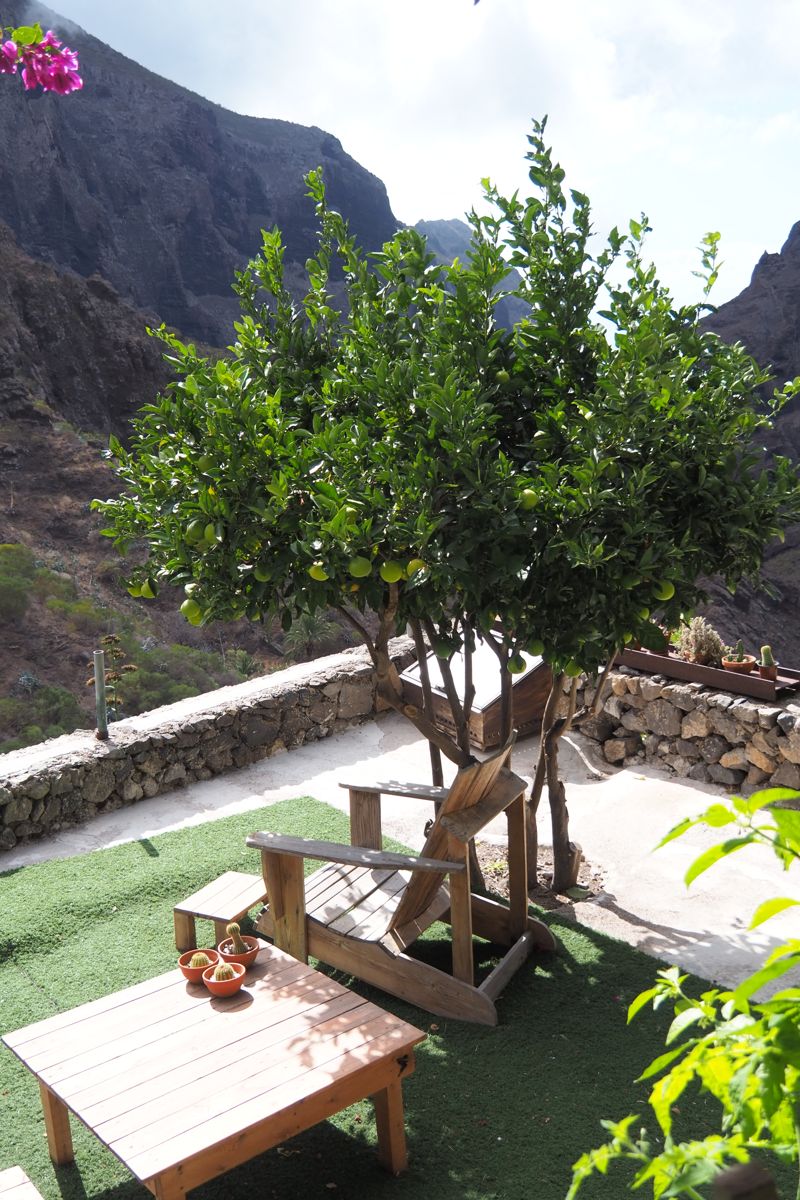 temple or shrine