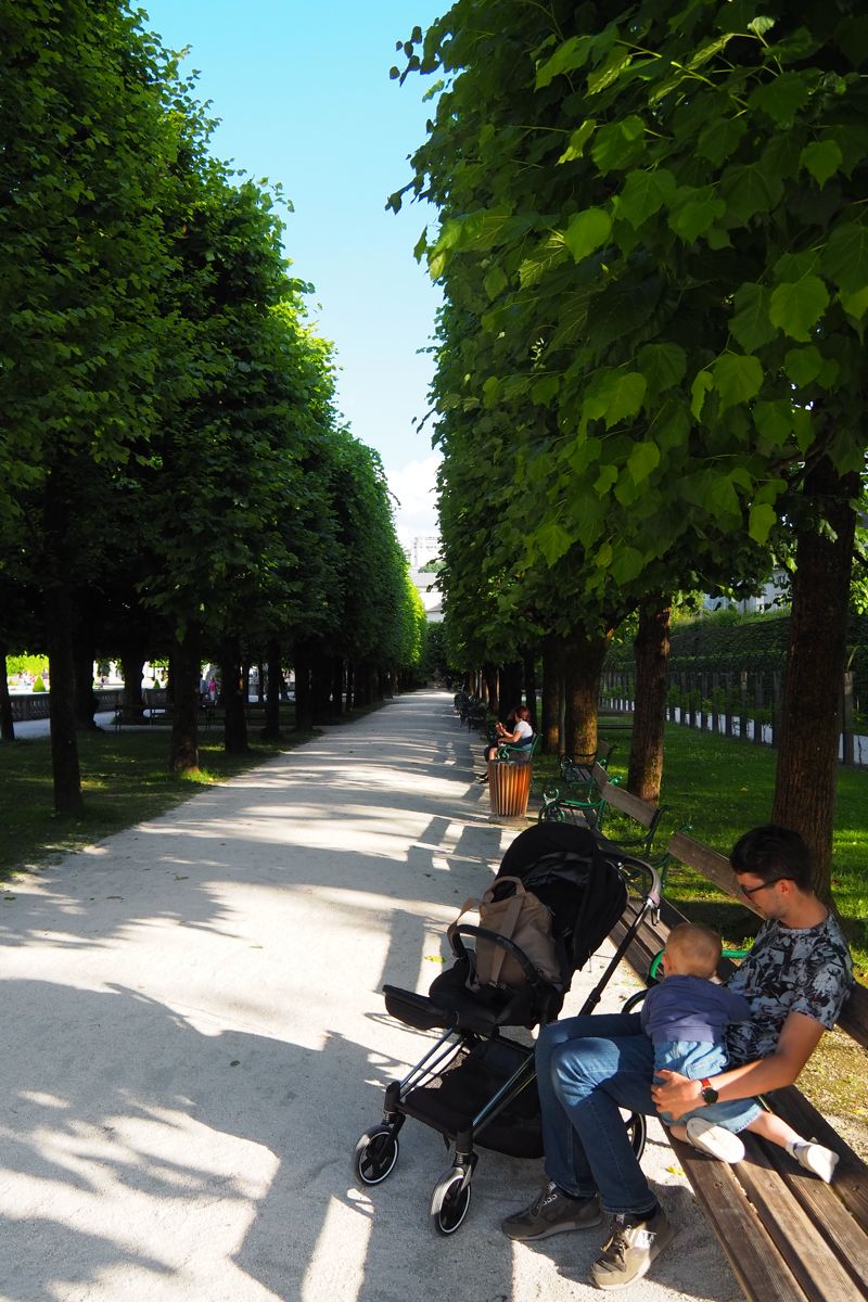 park or garden