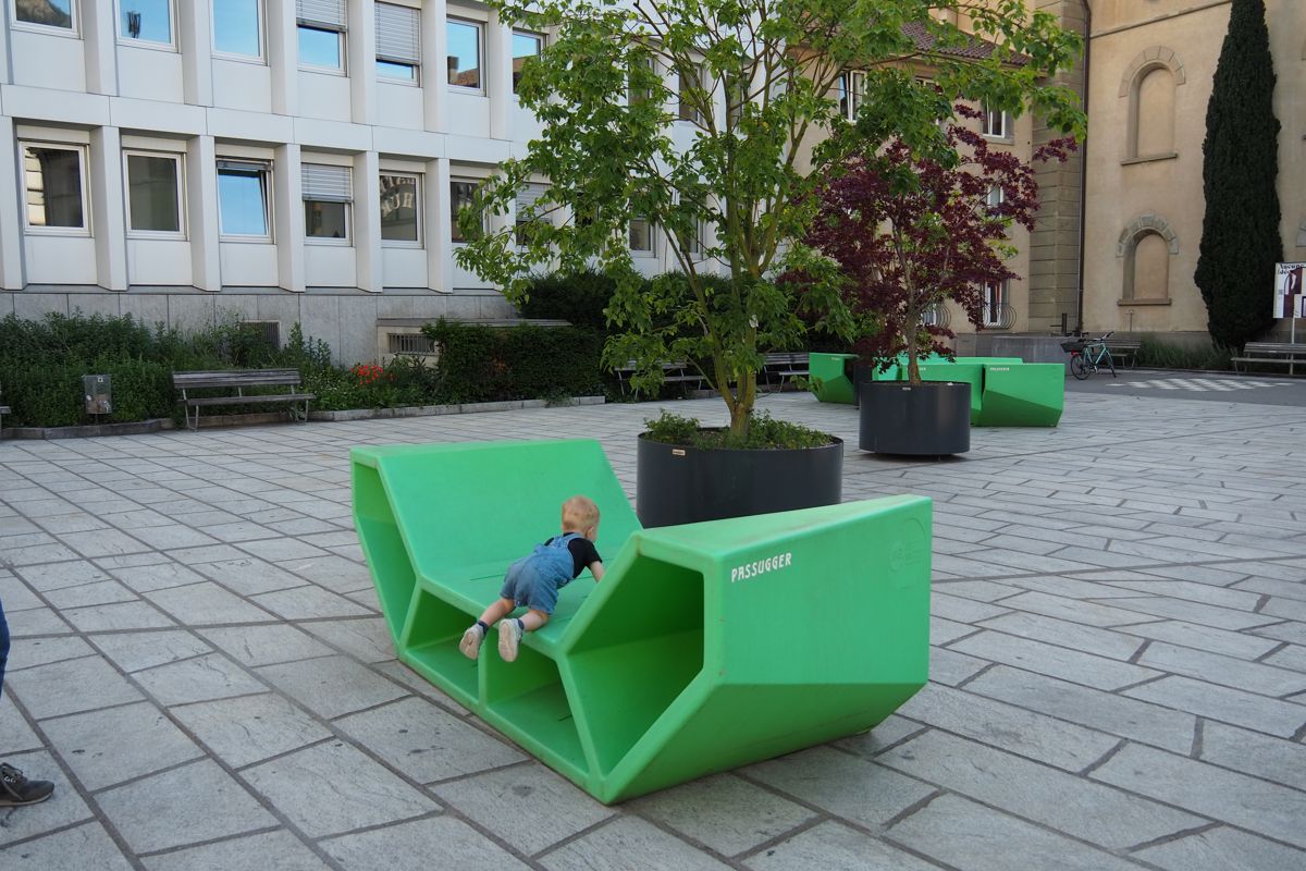 park or garden