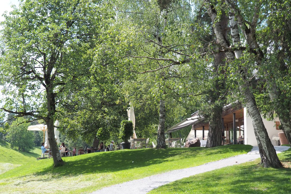 park or garden