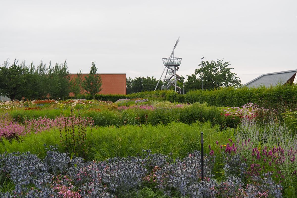 park or garden
