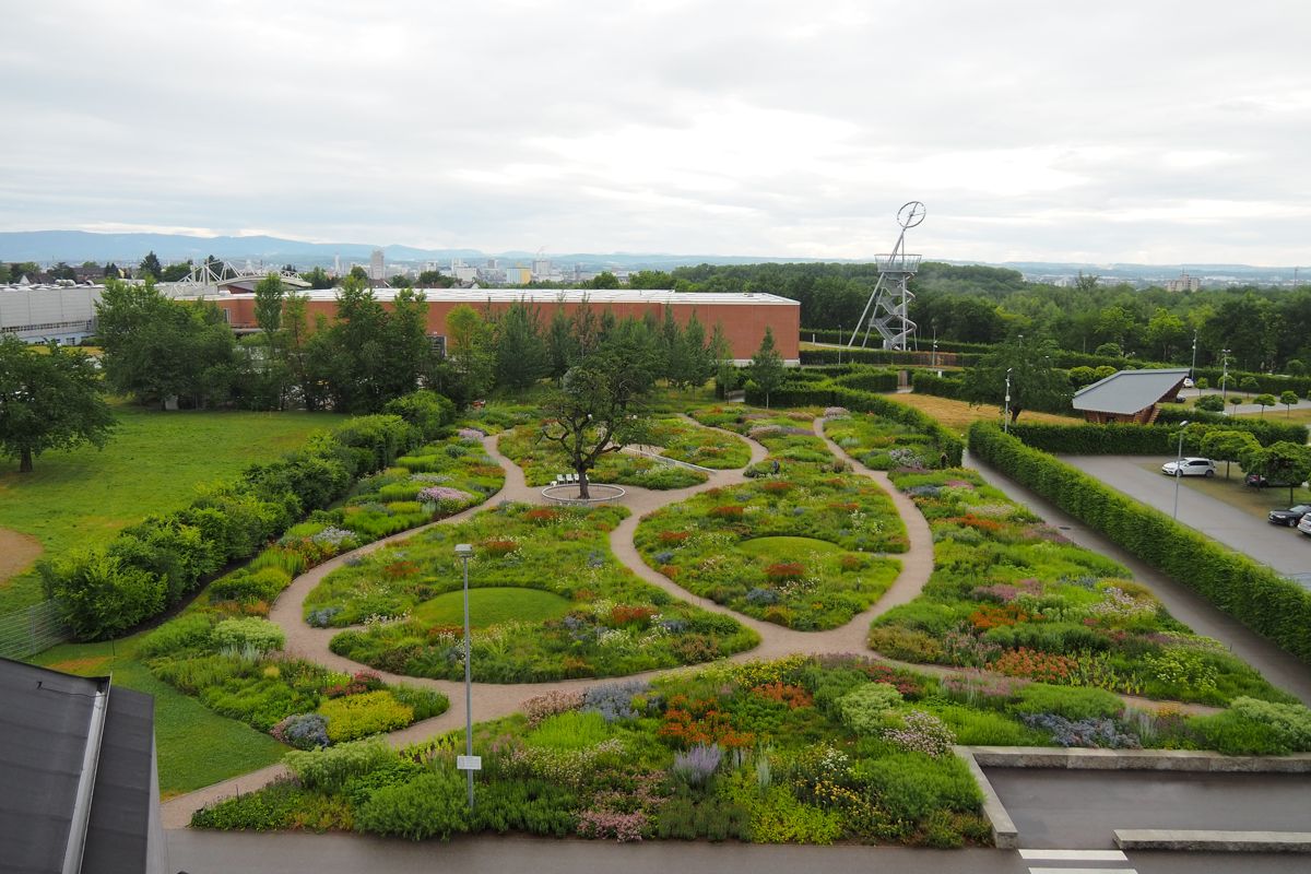 park or garden
