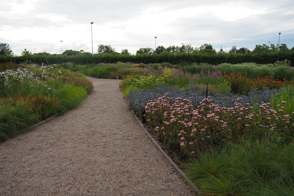 park or garden