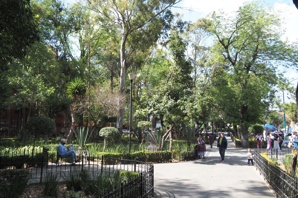 park or garden