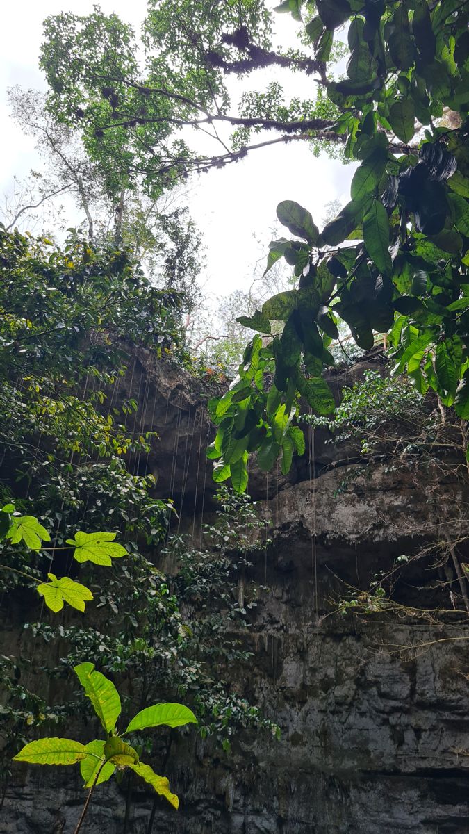 waterfall