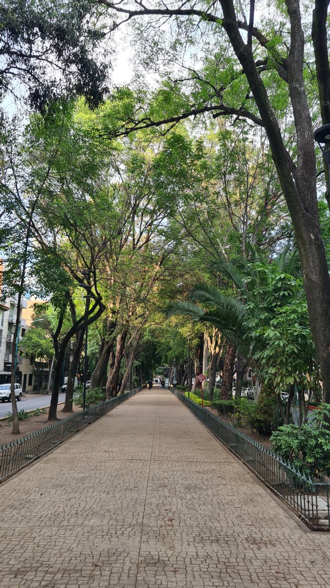 park or garden