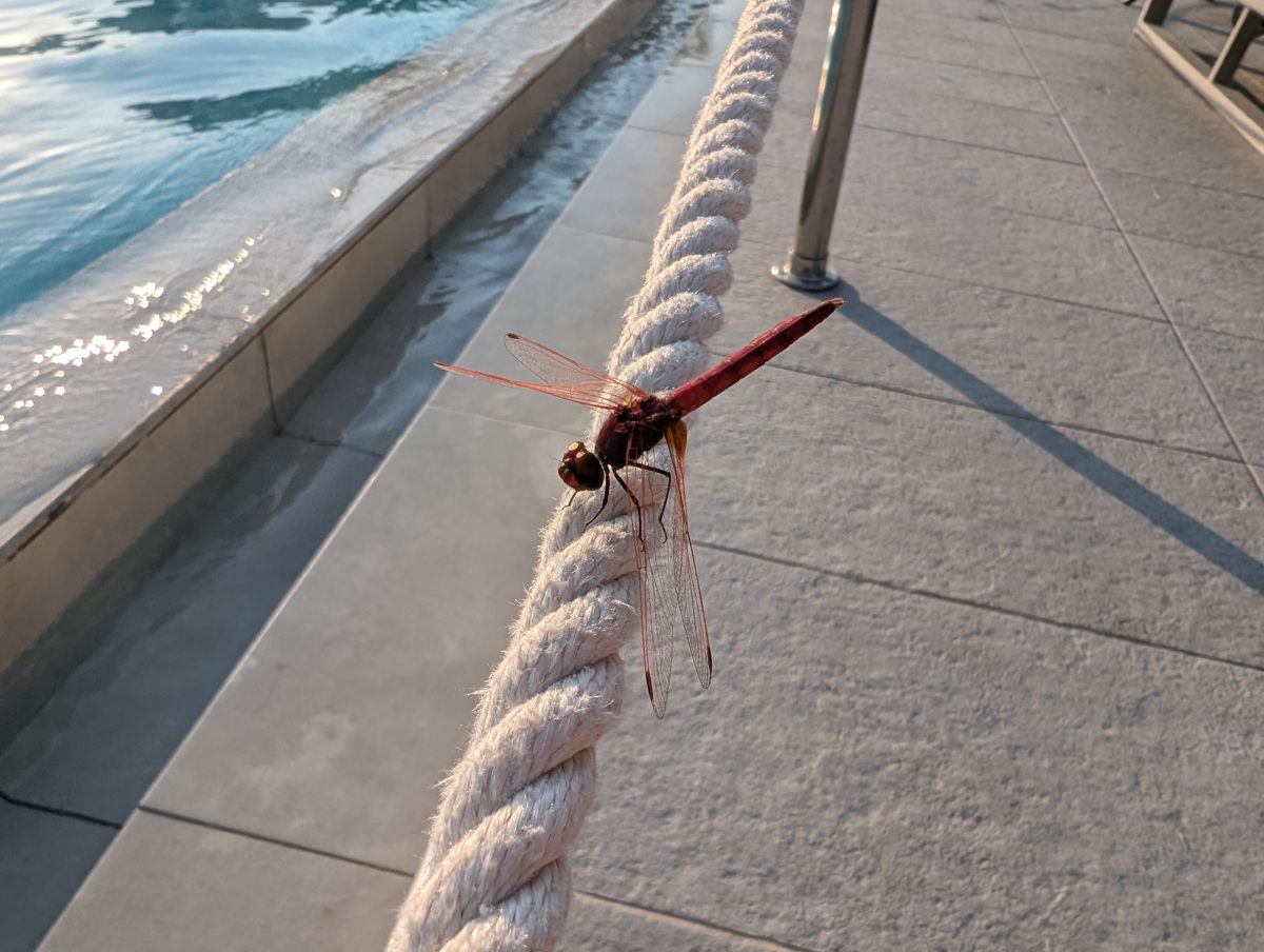 ferry or ship deck