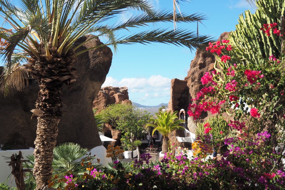 desert landscape