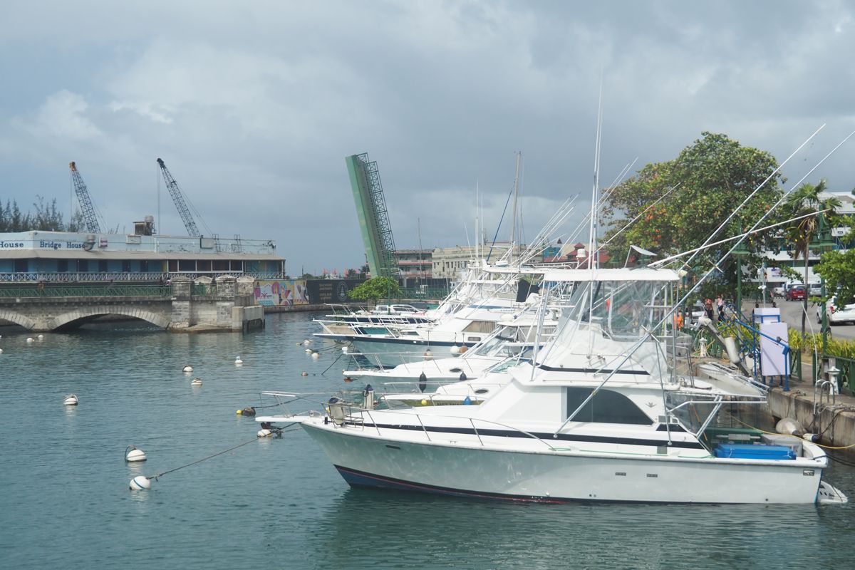 harbour