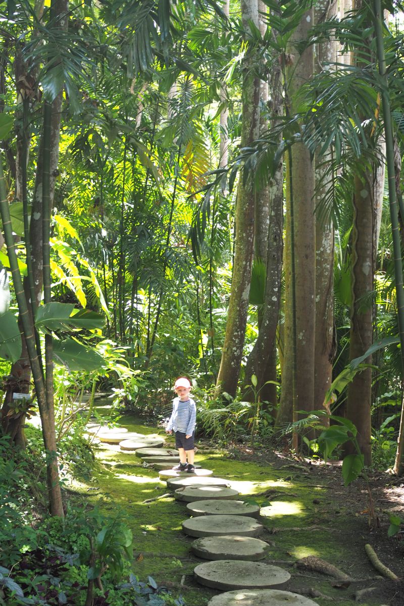 forest