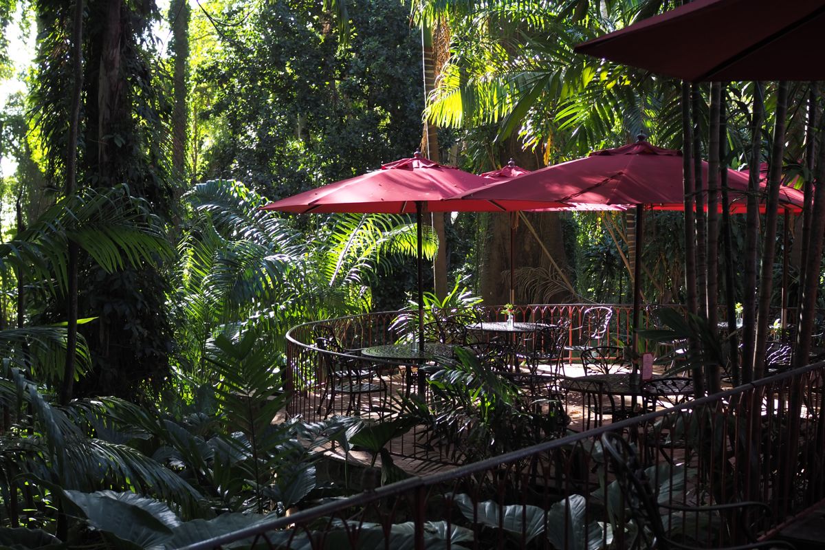 restaurant or cafe