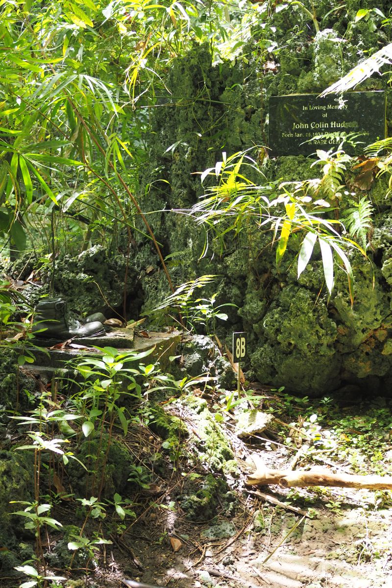 forest