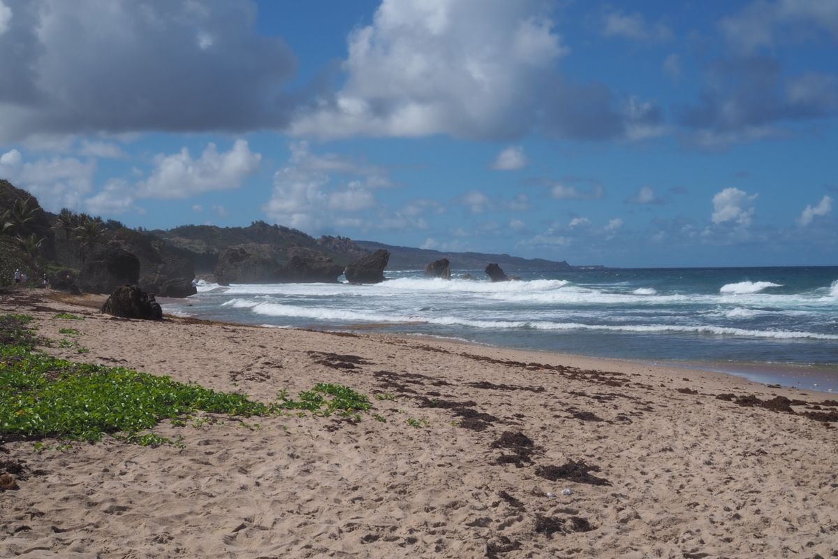 beach