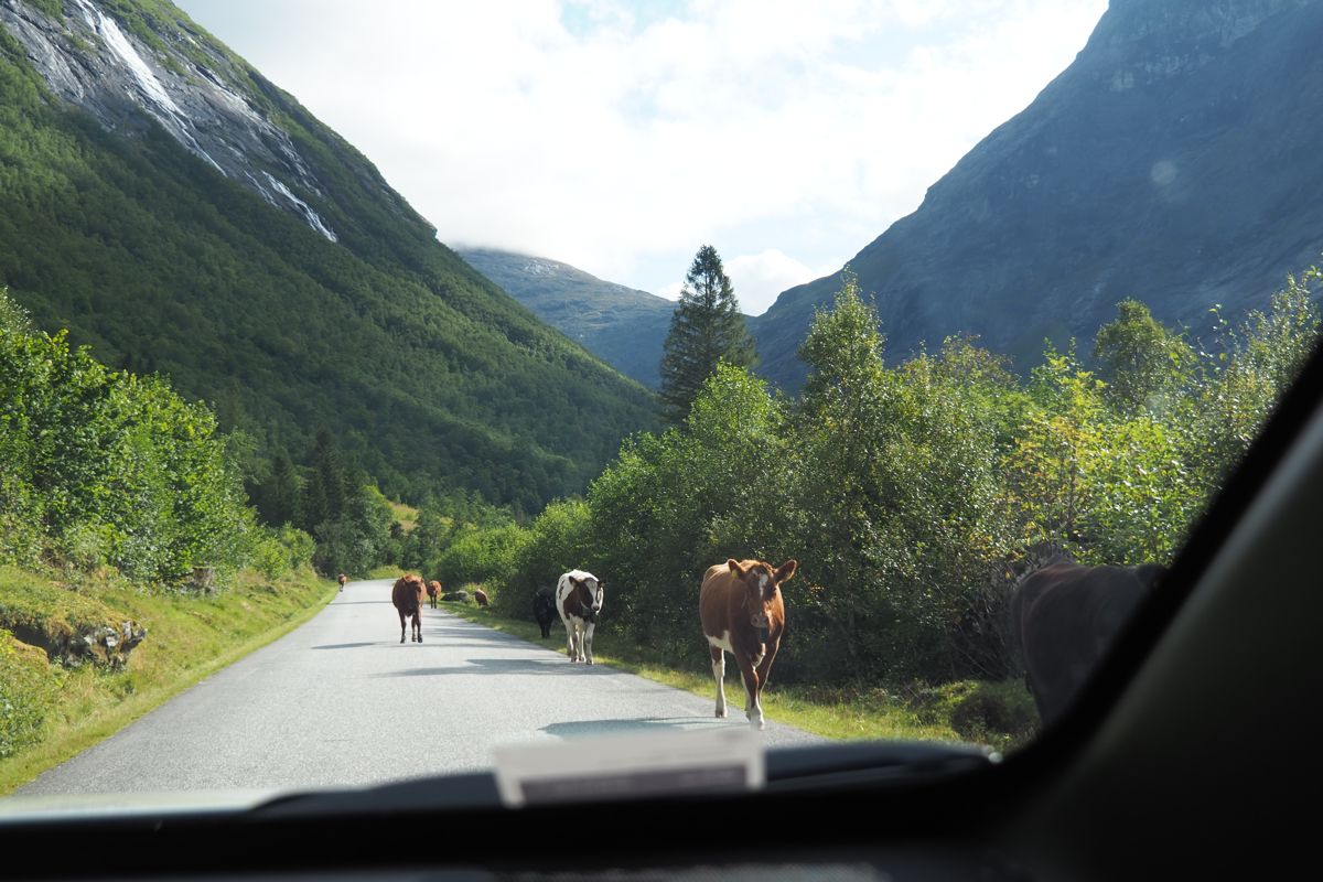 road trip